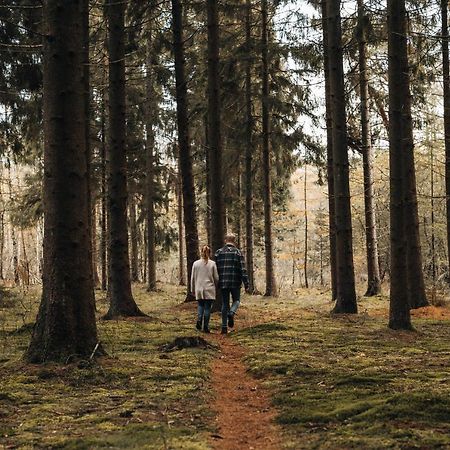 4P Chalet Tolve Met 4 Fietsen Vlakbij Natuurgebieden Drents Friese Wold, Fochteloerveen En Gevangenisdorp Veenhuizen Oosterwolde  ภายนอก รูปภาพ