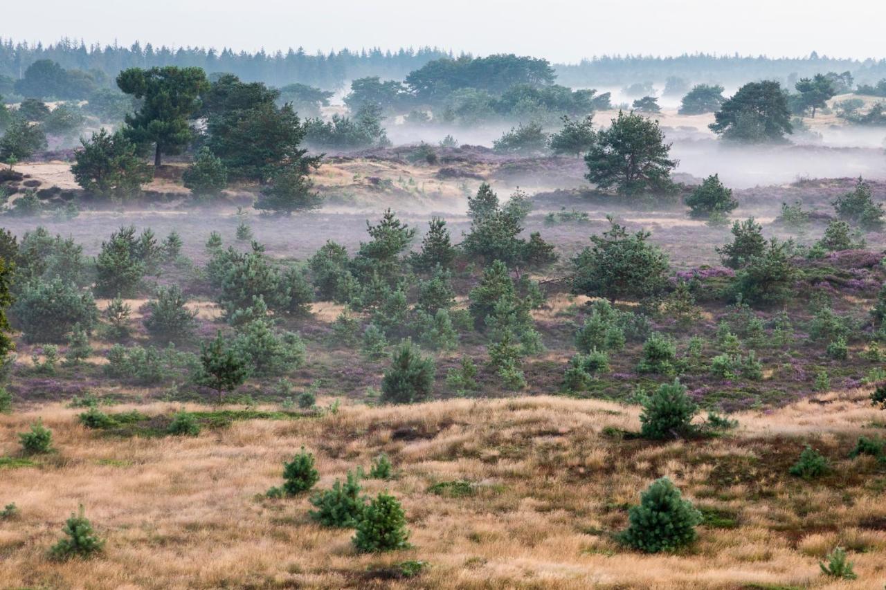 4P Chalet Tolve Met 4 Fietsen Vlakbij Natuurgebieden Drents Friese Wold, Fochteloerveen En Gevangenisdorp Veenhuizen Oosterwolde  ภายนอก รูปภาพ